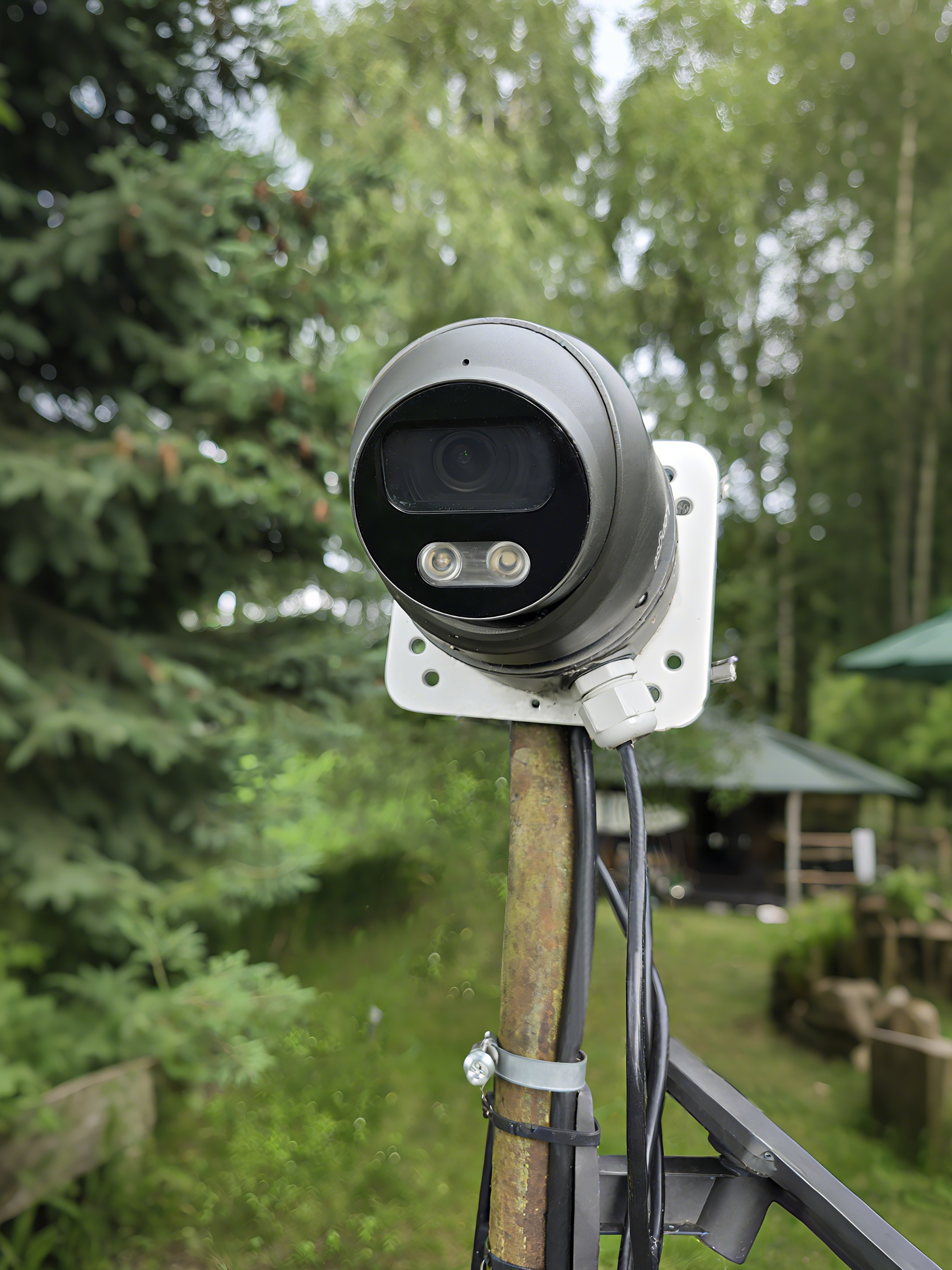 Longse Cameras: Trusted by Real Users Worldwide - Longse